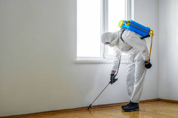 Best Flea Control Services  in Lyman, SC