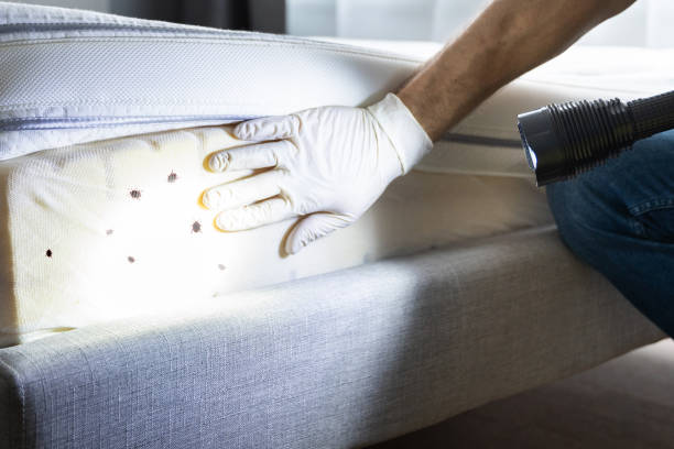 Professional Pest Control in Lyman, SC