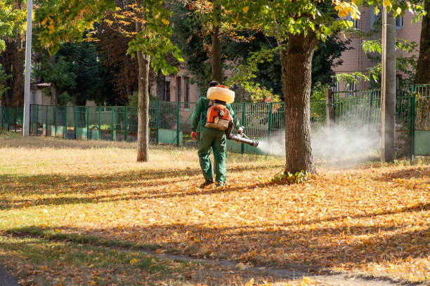 Best Pest Prevention Services  in Lyman, SC